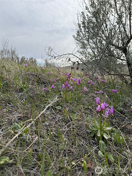 5th image of 2830 Antoine Creek Road