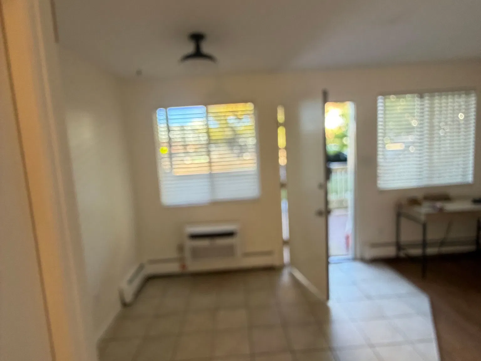 1 bed, 500 sqft, $1,250 — Photo 3
