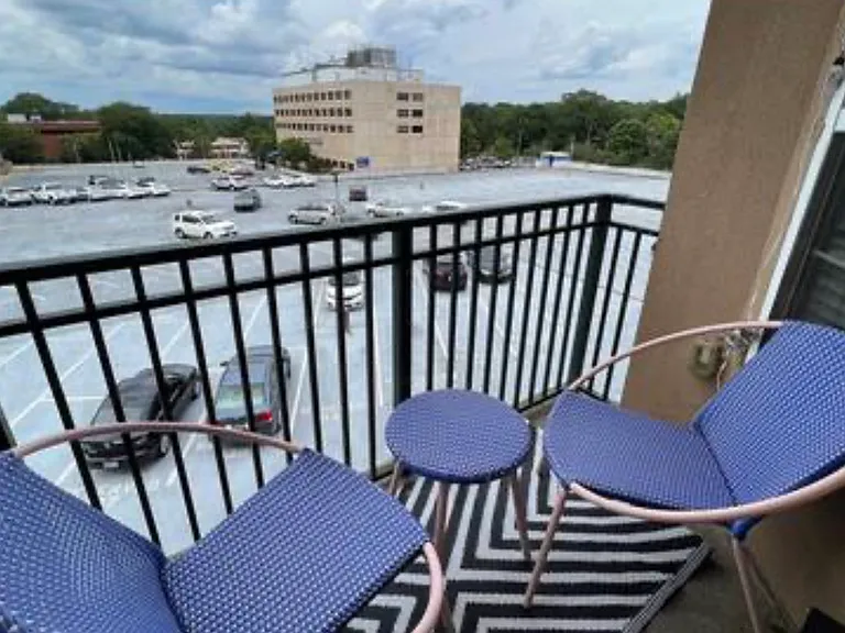230 E Ponce De Leon Ave #326 — Photo 9