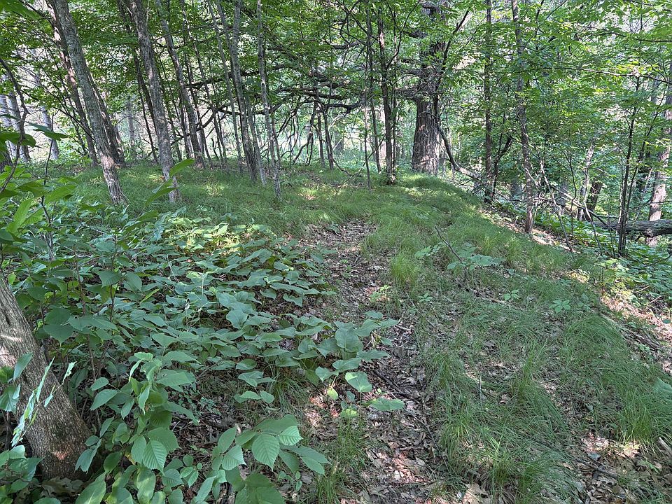 1st image of 320th St