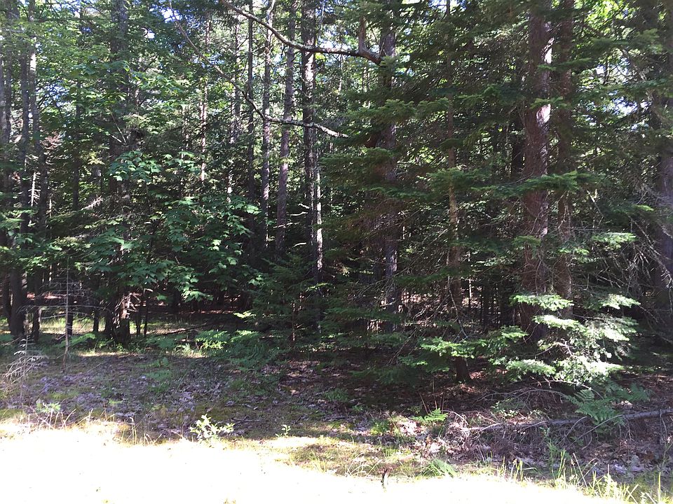 1213 Onondaga Ave BLOCK, Bois Blanc Island, MI 49775 Zillow