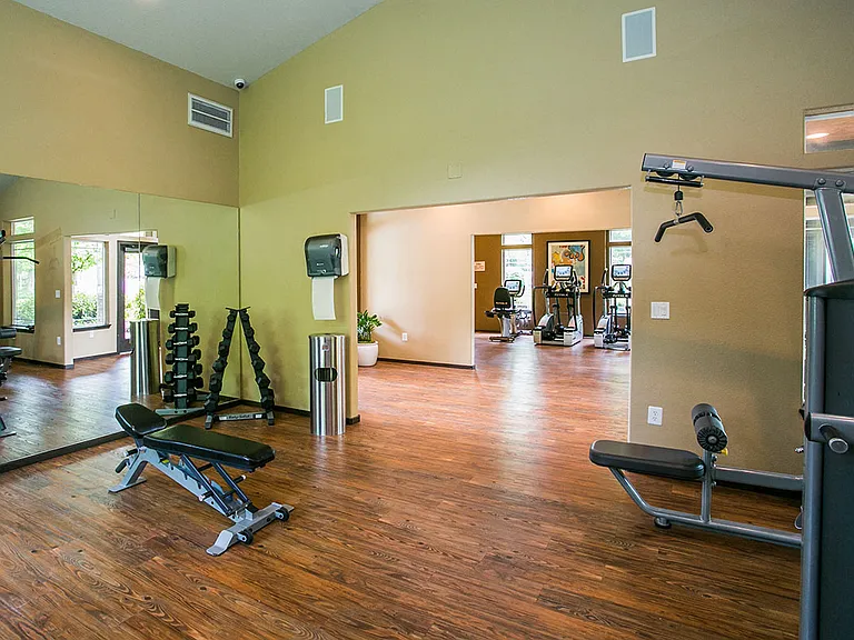 Free Weights