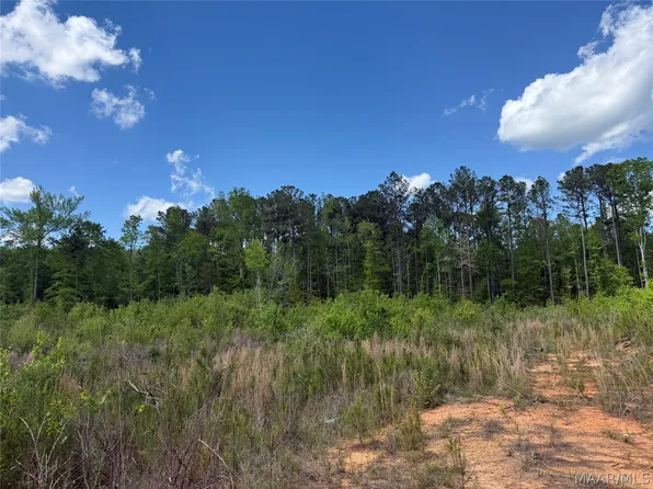 0 County Road 45, Rockford, AL 35136