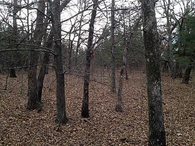 2nd image of LOT 1020 1212n05e
