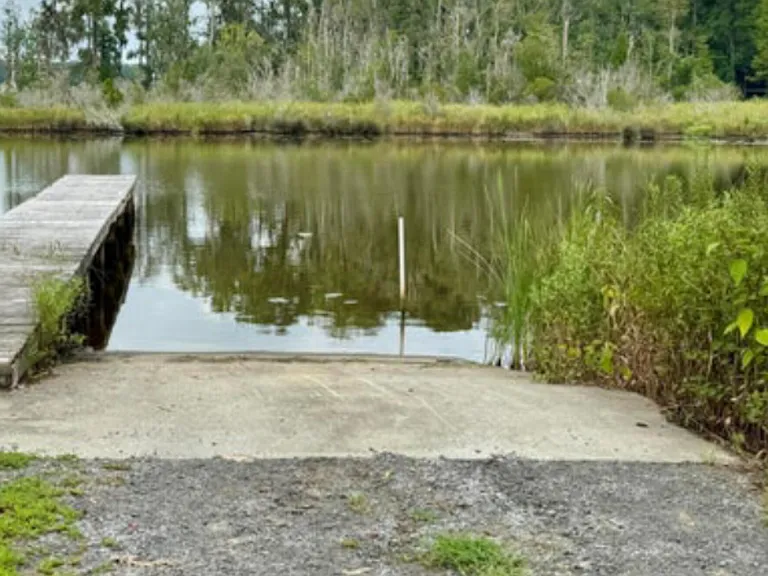 263 Treasure Point Rd — Photo 24