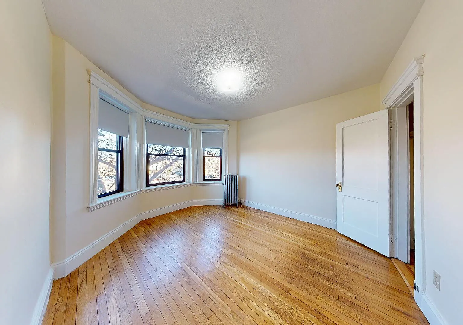 Commonwealth Apartments — Photo 4
