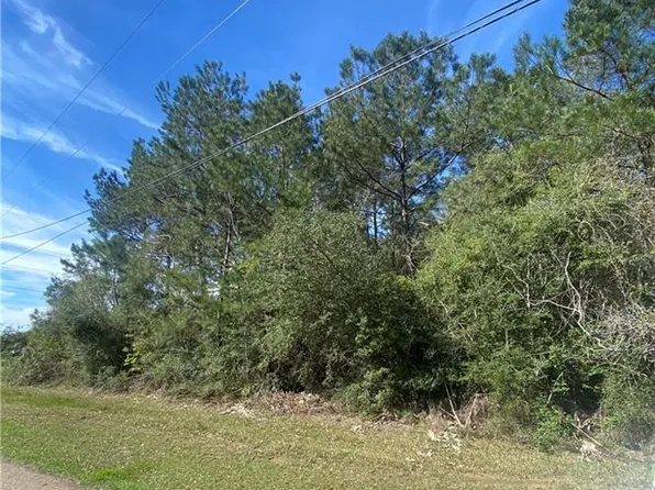 N Lee Hughes Rd, Hammond, LA 70401