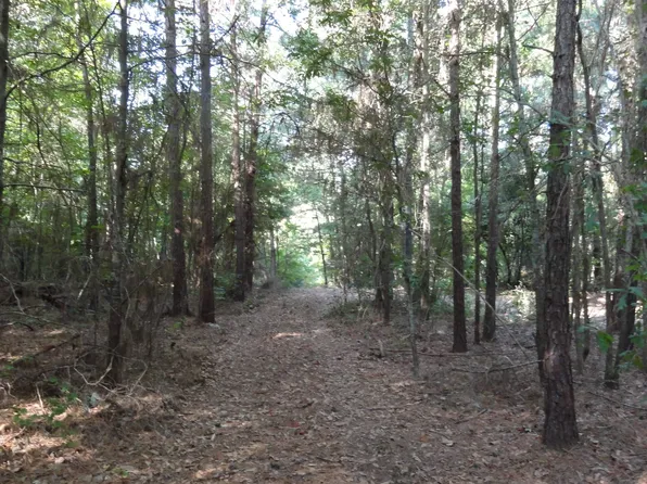 Tbd Cr 3308, Jacksonville, TX 75766