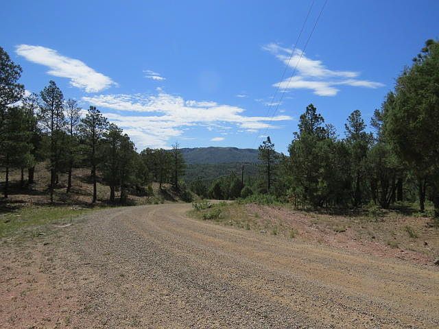 1st image of 36515 Alpine Meadows Dr