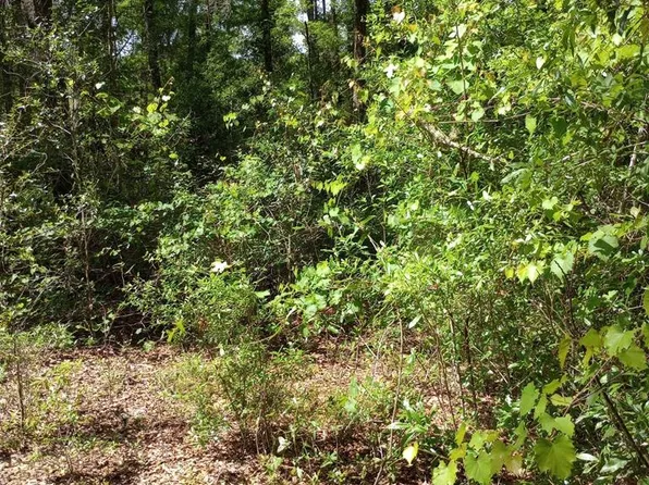 429 NE 575th St, Old Town, FL 32680