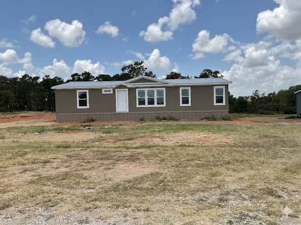 133 Firefly Dr, Springtown, TX 76082
