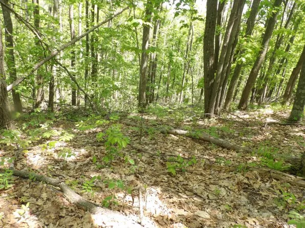 Valley Ct N #255, Barton City, MI 48705