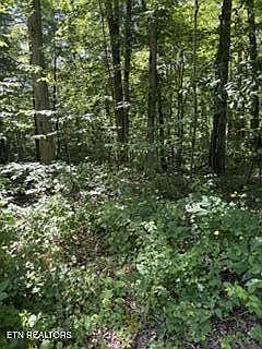 3rd image of 850 Lick Hollow Dr