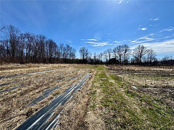 3rd image of 60 Uber Rd