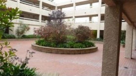 Middle Courtyard Area