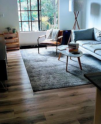 Newly Furnished Living Room 