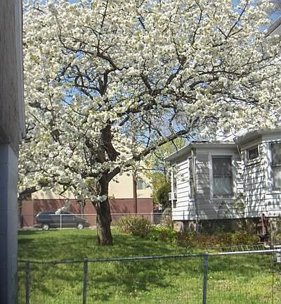 Oversized lot