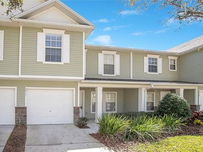 2911 Bear Oak Dr, Valrico, FL, 33594