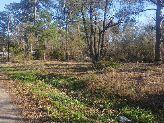 3rd image of 0 W Maple St