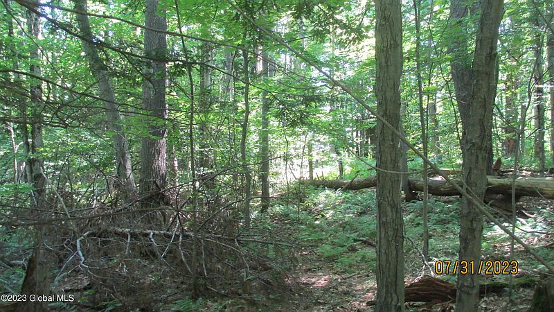 3rd image of 005 Strevy Lane