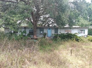 31033 Eloian Dr, Wesley Chapel, FL 33545