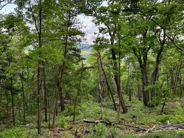 78 Mimosa Trl, Winchester, VA 22602