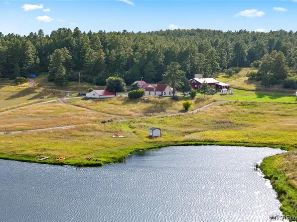 6596 Jones Road, Larkspur, CO 80118
