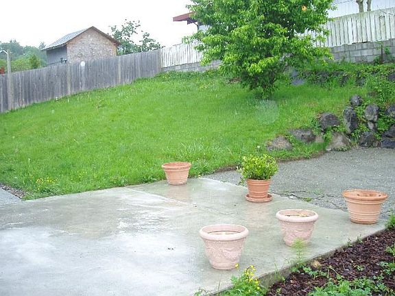 Backyard view from back door