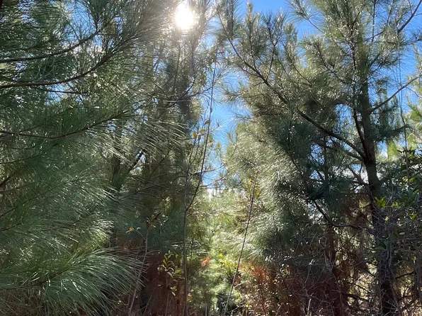 Tbd Fm 1399, Linden, TX 75563