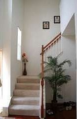 2nd image of 3198 Fantail Dr