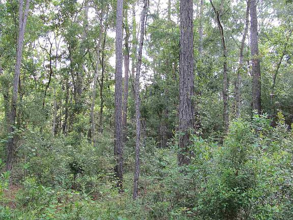 4th image of Williams Dr #1