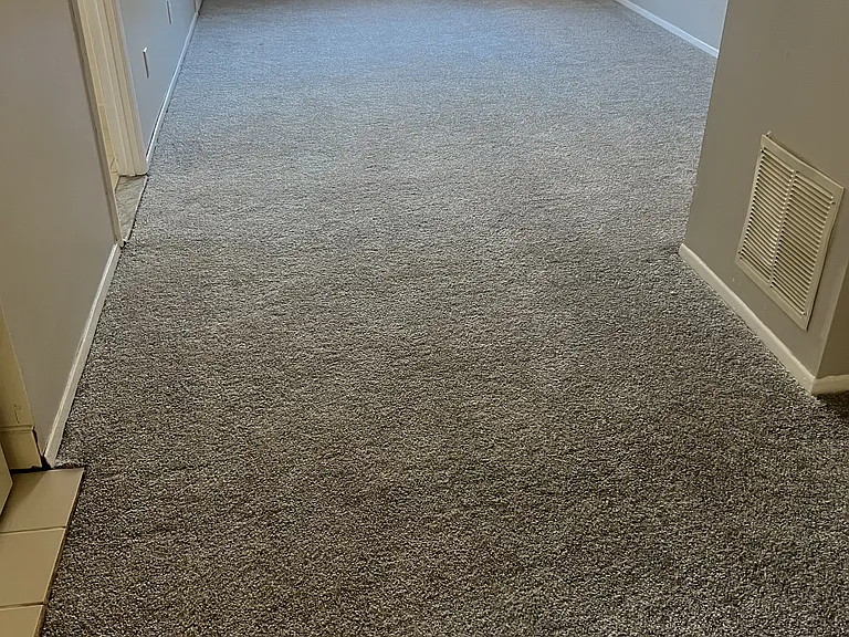 13 Palisade St #4A — Photo 3