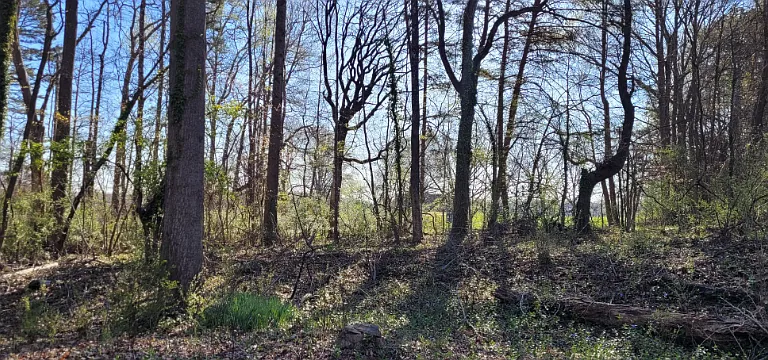 720 Riddle Mill Rd — Photo 23