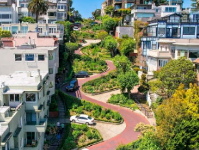 575 Lombard St — Photo 23
