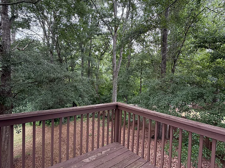 693 Cotton Branch Dr — Photo 19