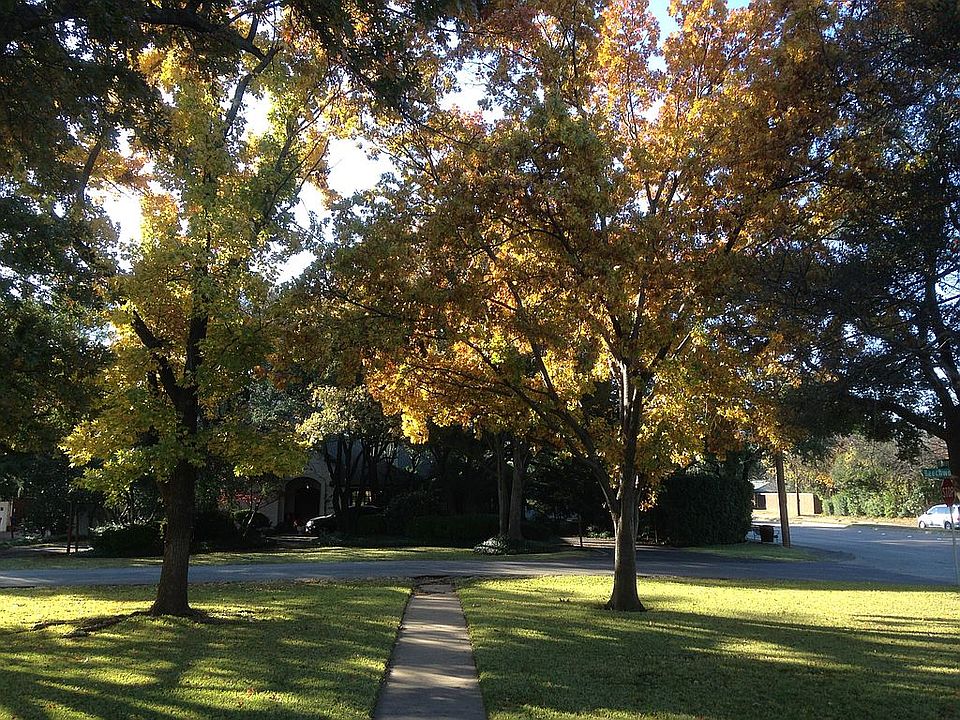 Autumn leaves from porch