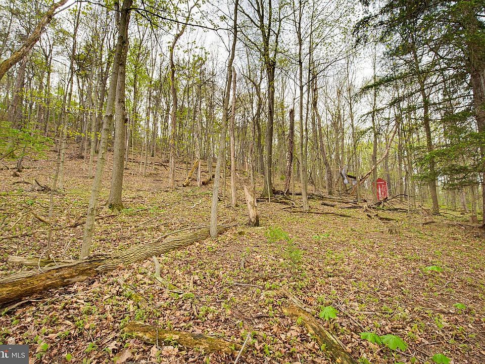 16th image of 149 Cabin Ln