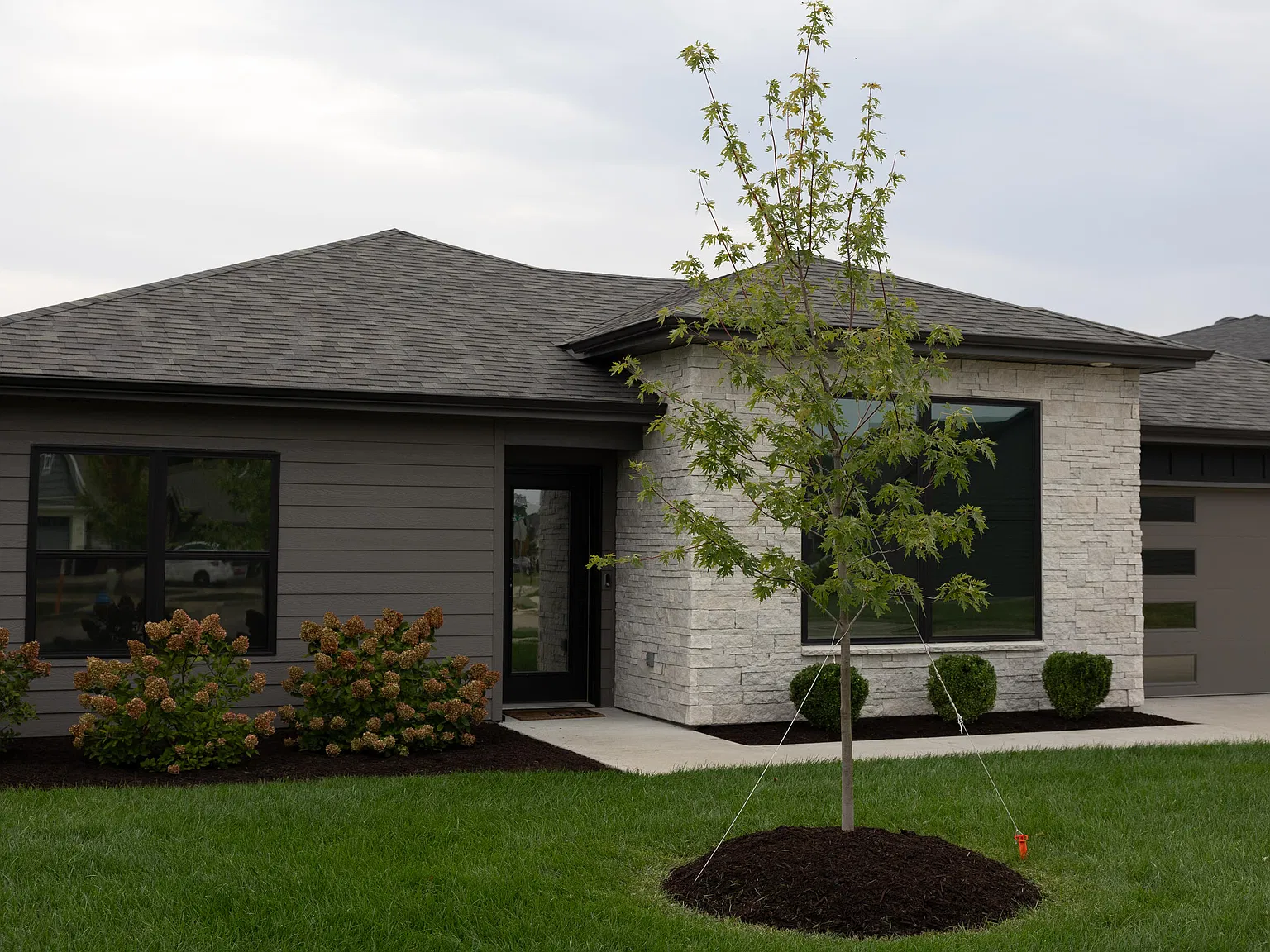 3 bed, 2.0 bath, 1531 sqft, $2,800 — Photo 4