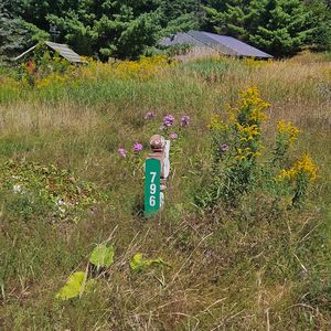 796 Main Street, Springfield, ME, 04487