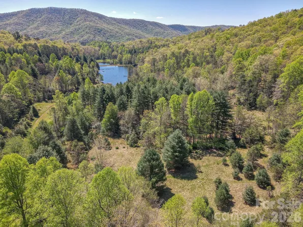 0 Davey Branch Rd, Horse Shoe, NC 28742