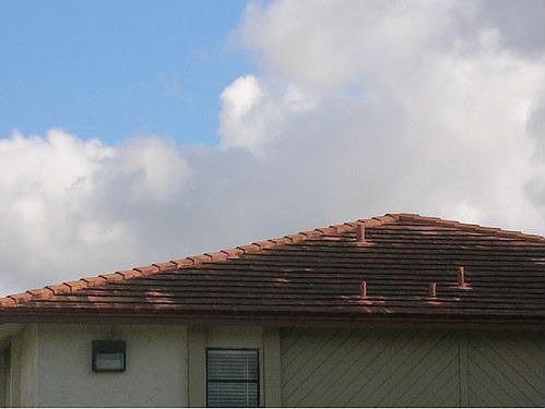 2nd image of 3034 Coral Ridge Dr #117C