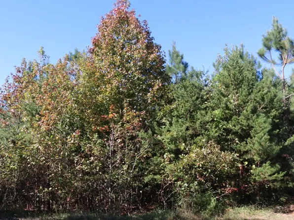 15 Farmville Rd #1, Meherrin, VA 23954