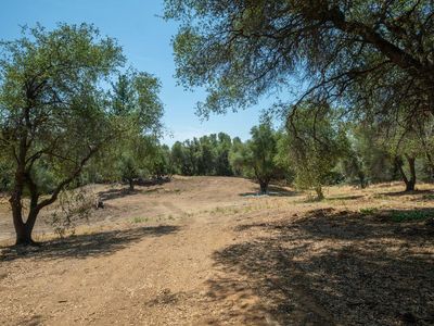 3326 Sand Ridge Rd, Placerville, CA, 95667