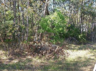 0 Susquehanna Trl, Spring Hill, FL 34606