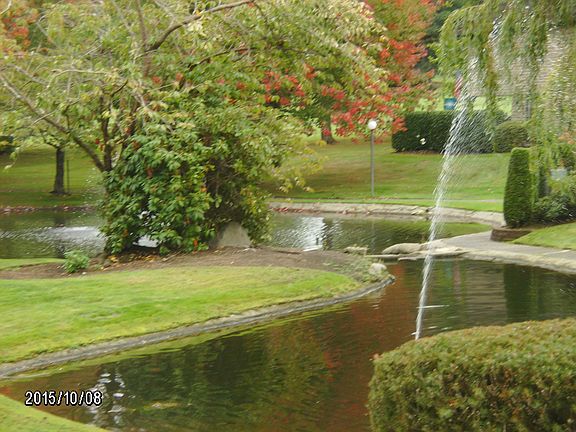 View Pond + 2 Fountains