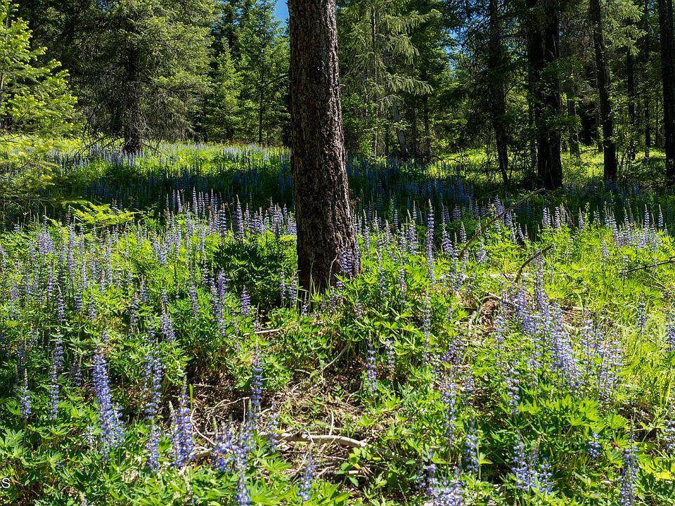 1st image of Kreiger Creek Rd Lot 2