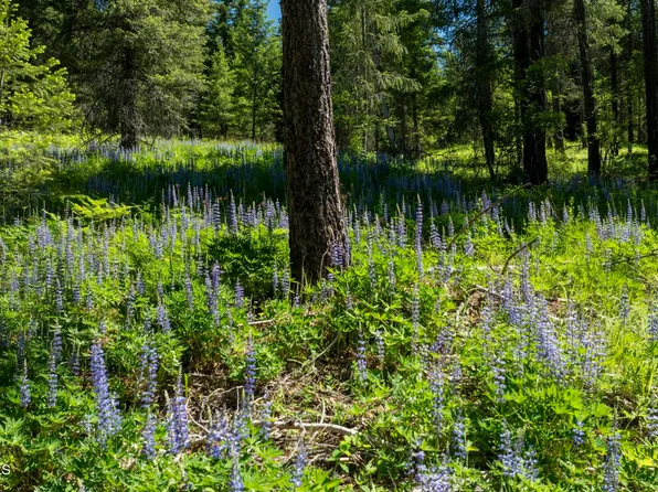 Kreiger Creek Rd Lot 2, Careywood, ID 83809