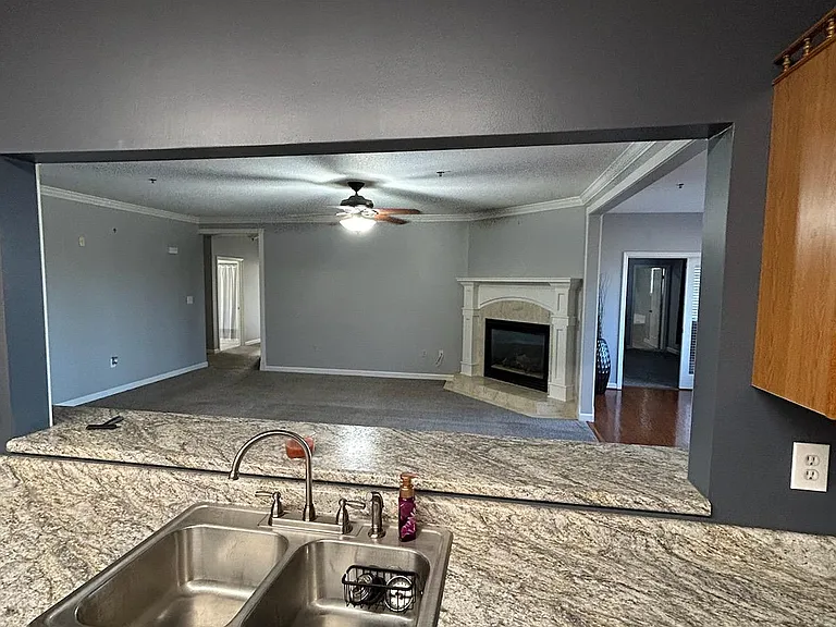 338 Pinnacle View Way #121 — Photo 4
