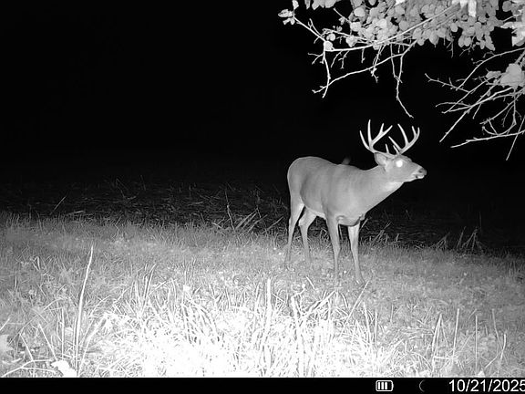 3rd image of 0 Vineyard Rd