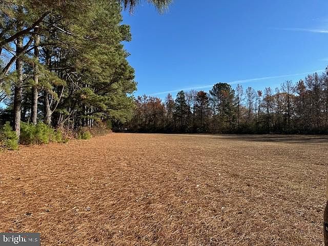 2nd image of 24021 John J Williams Hwy